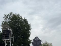 -眉山湿地公园(东坡区)