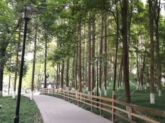 -温江公园