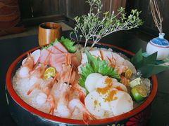 -春草居酒屋·晴子の店