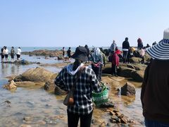 -巧克力渔家.小船海鲜胶东菜(万平口店)