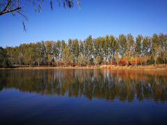 -东郊湿地公园