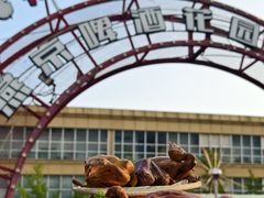 -燕郊烧鸽子(酷车小镇店)