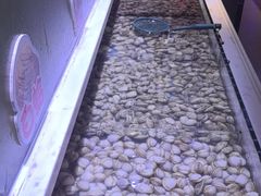 -聚盛源蒸汽海鲜火锅烤肉自助(巨川金海岸购物广场店)