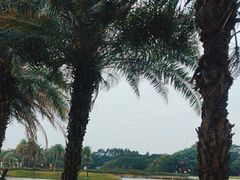 -迪茵湖田家舍生态农场