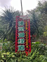 点击看大图 -佛灵湖水上乐园