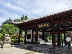 -莲湖公园