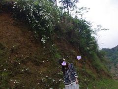 -林坑古村落