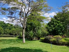 -风云岭森林公园