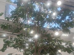 -大树餐厅(红旗街万达店)