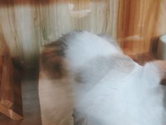 -白兔子密室(长寿路店)