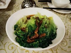 -百利鸽王(紫薇路店)