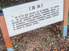 -九龙潭景区