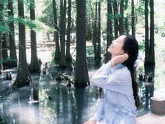 -东湖落雁景区