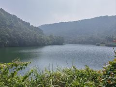 -桃花岭景区