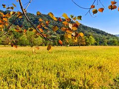 -塔川景区