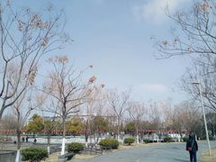 -泰州凤城河风景区-泰山公园