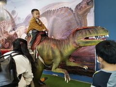 -自贡恐龙博物馆