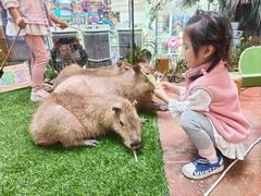 -正佳雨林生态植物园