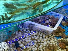 -晶渔坊·海鲜私房菜(东夷小镇店)