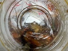 -晓林火锅(安定门店)