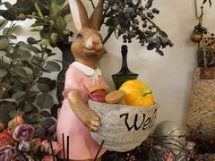 -春风·有糖(崇宁路店)