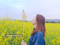 -光明小镇欢乐田园