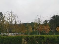 -香山公园-东宫门售票处