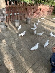 -郑州市世纪公园