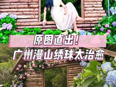 -天适樱花悠乐园