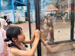 -海合安成都极地海洋公园