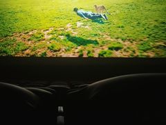 -曹杨影城(曹杨店)