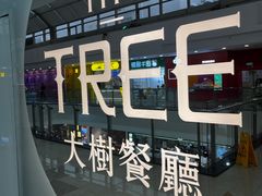 -大树餐厅(万达创始店)