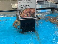 -盒马鲜生(王府广场店)