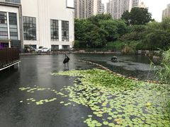 -苏州河梦清园环保主题公园