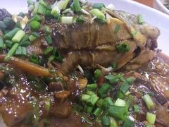 -全乐鱼馆·淳牌有机鱼直营店