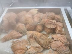 -福禧荟·海鲜自助