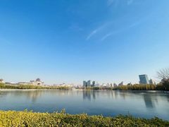 -莲花池公园