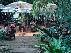 -Fern Forest Cafe