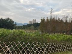 -牛岗山公园