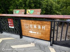 -东寨港红树林旅游区