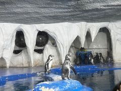 -太平洋海底世界