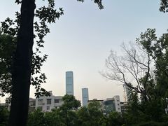 -白沙古井