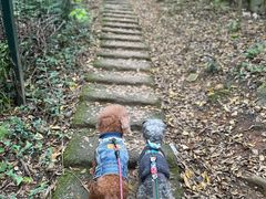 -艾贝尔宠物医院 ·内科全科(梁溪路店)