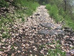 -溪口-滕头旅游景区