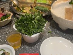 -华晟山城火锅(开发区港西东阁里店)