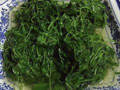 -洞天食府(北大街店)