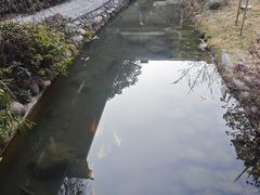 -和县香泉温泉度假村