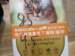 -艾贝尔宠物医院·狂犬免疫点(江山金象城店)