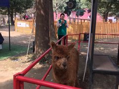 -秀丽东方