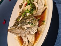 -老吉堂上海本帮菜(工体店)